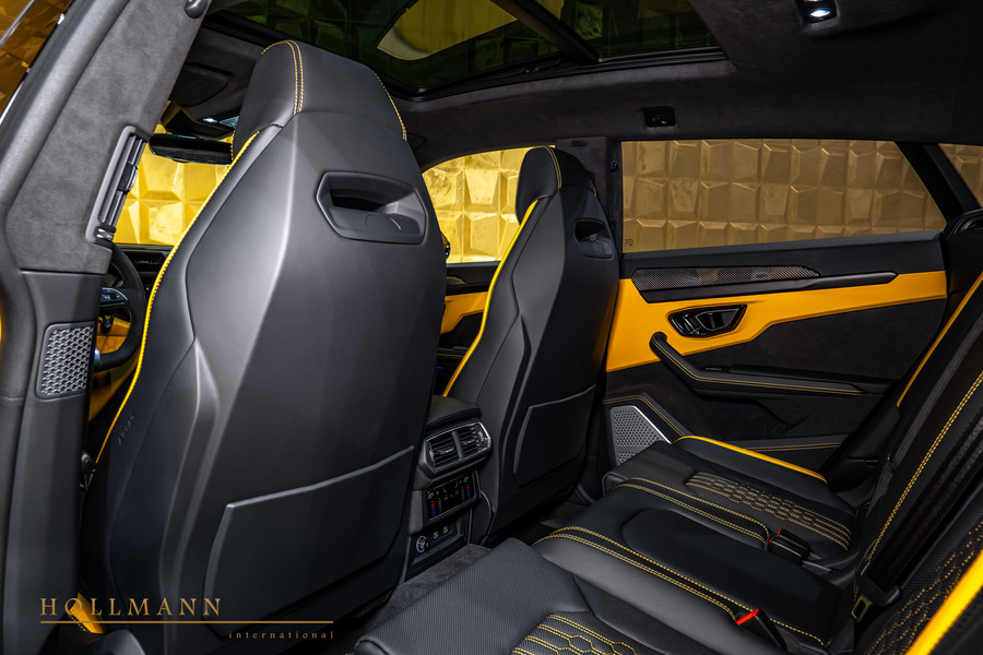 Vehicle view 11