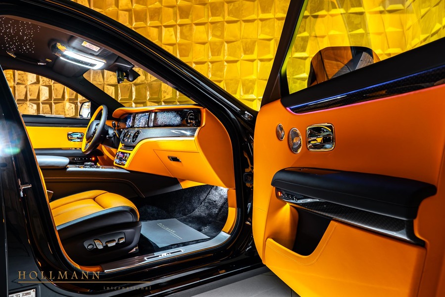 Vehicle view 13