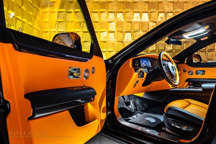 Vehicle view 8