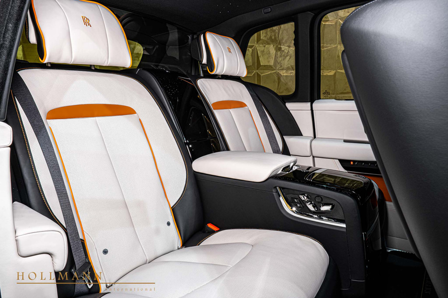 Vehicle view 11