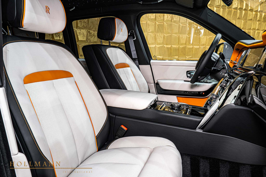 Vehicle view 13