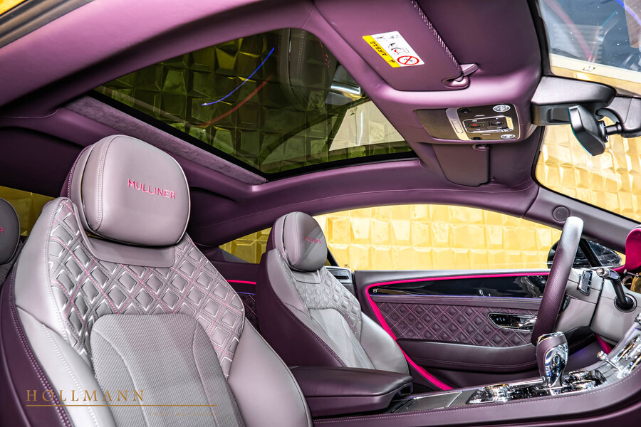 Vehicle view 17