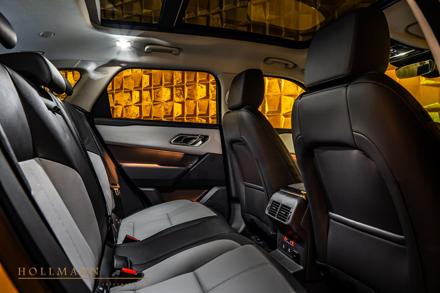 Vehicle view 11