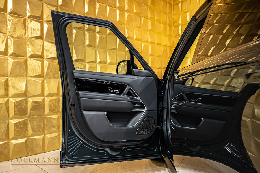 Vehicle view 11