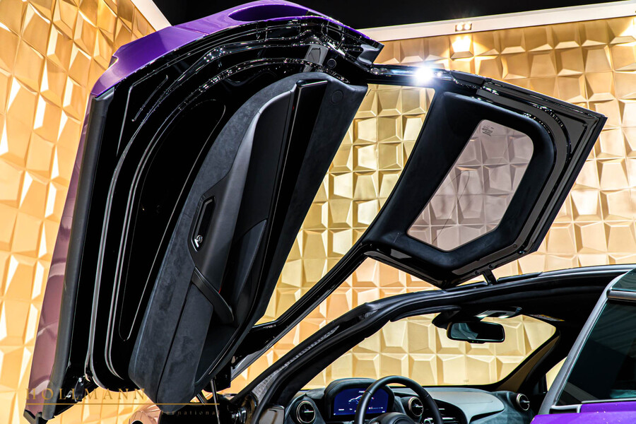 Vehicle view 8