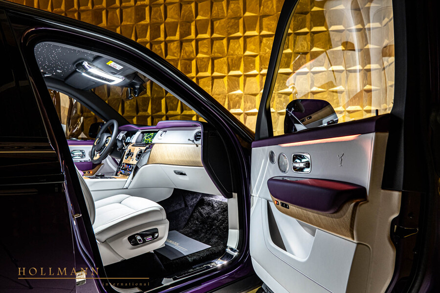 Vehicle view 10