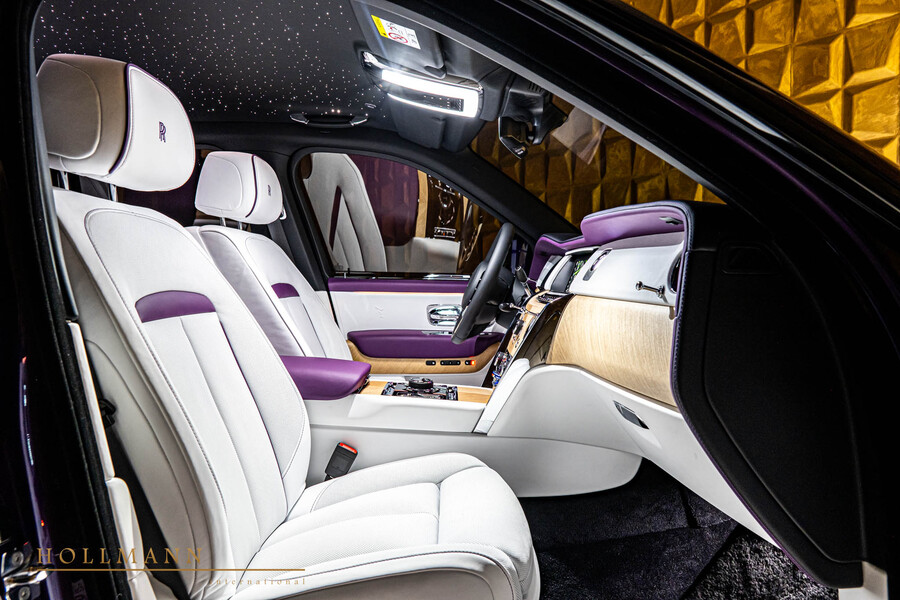 Vehicle view 11