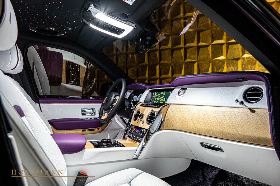 Vehicle view 12