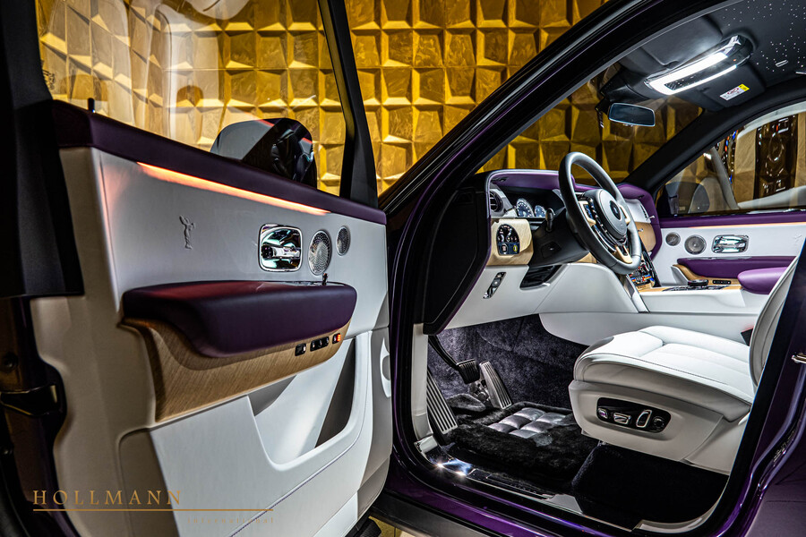 Vehicle view 13