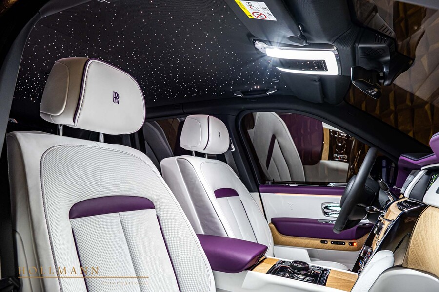Vehicle view 15
