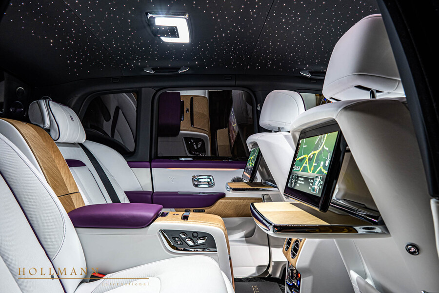 Vehicle view 17