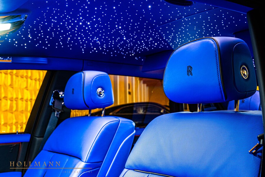 Vehicle view 11