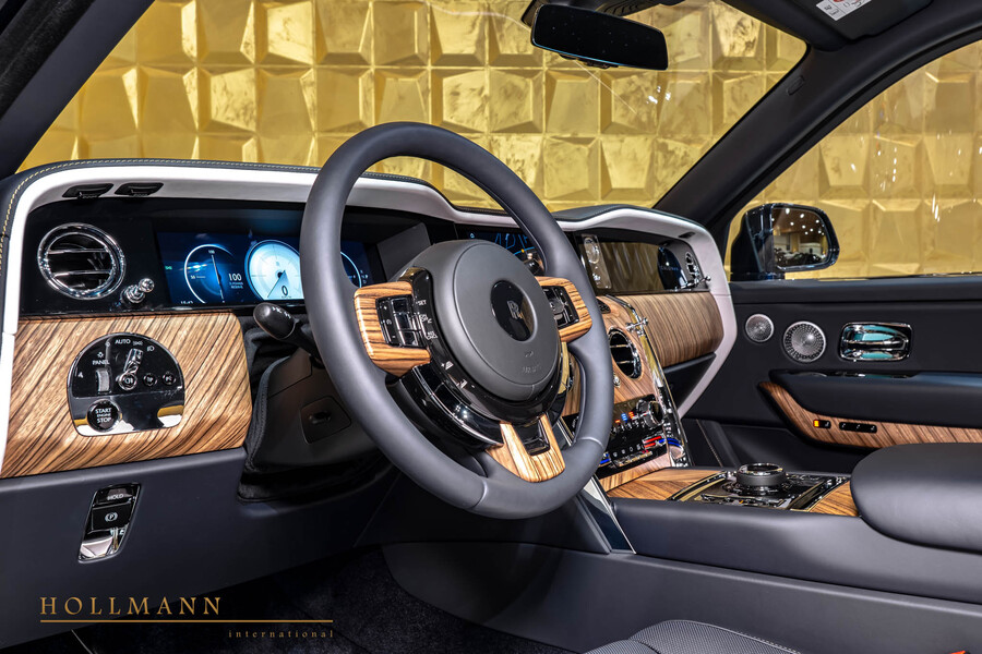 Vehicle view 13