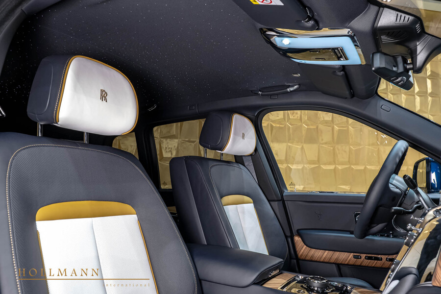 Vehicle view 15