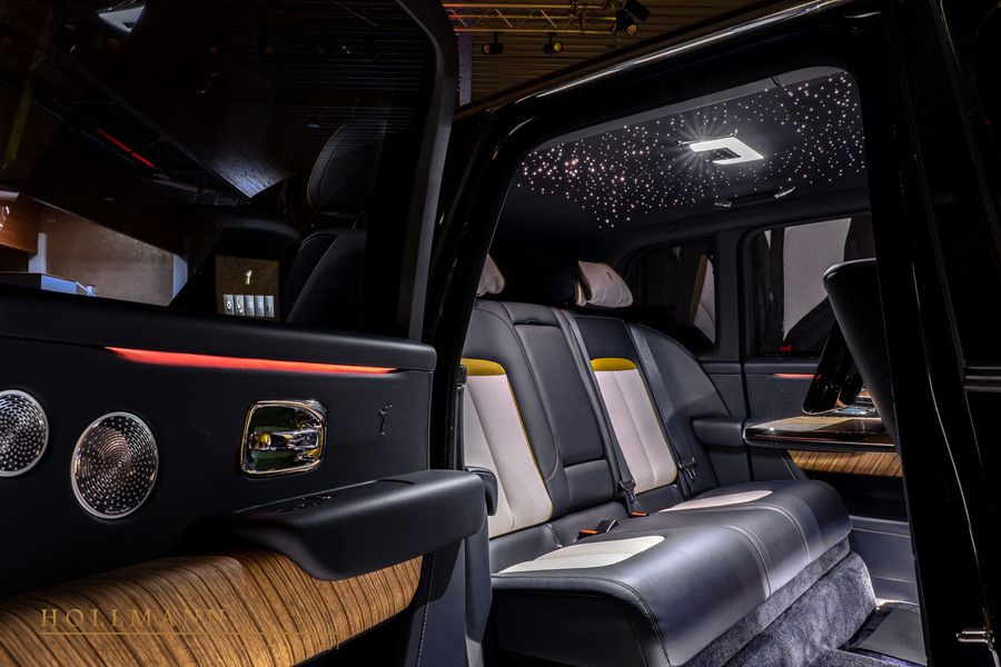 Vehicle view 17
