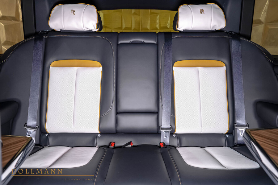 Vehicle view 21