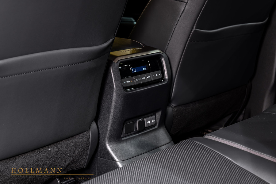 Vehicle view 19