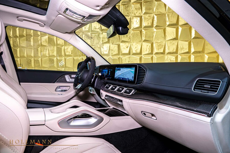 Vehicle view 13