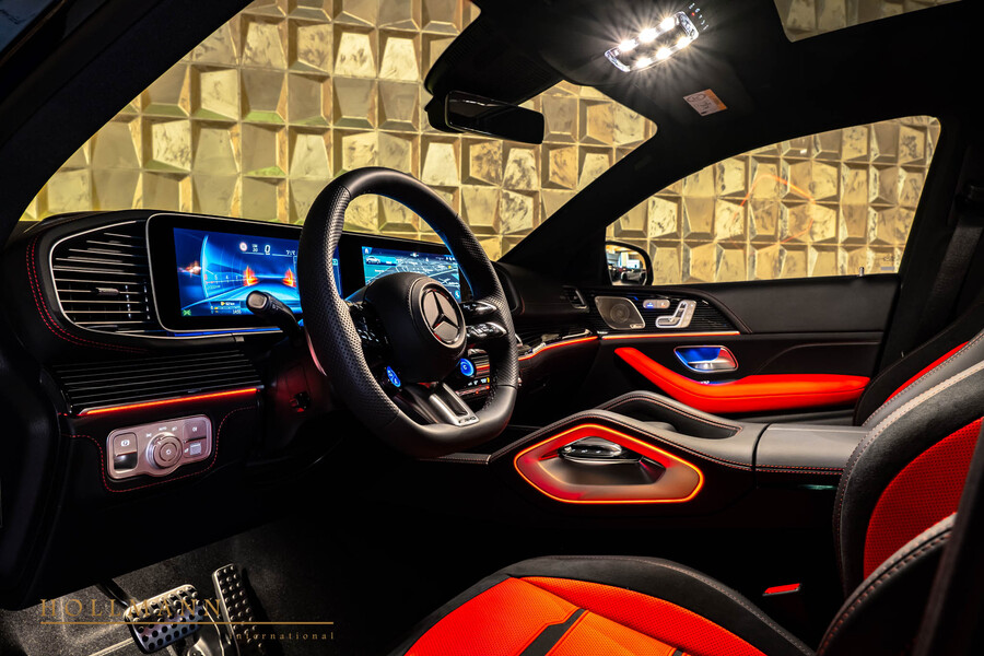 Vehicle view 13