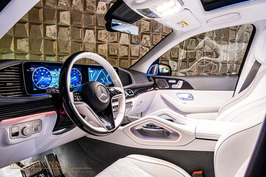 Vehicle view 11