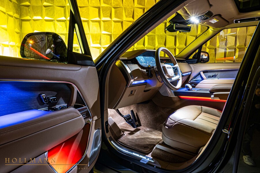 Vehicle view 11