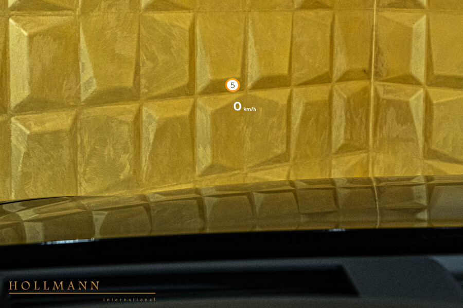 Vehicle view 17