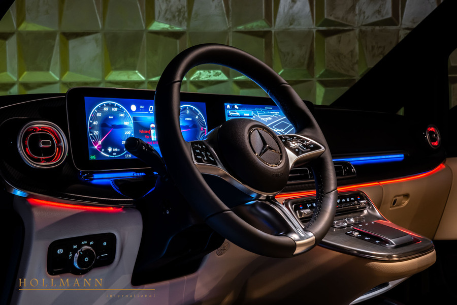 Vehicle view 13