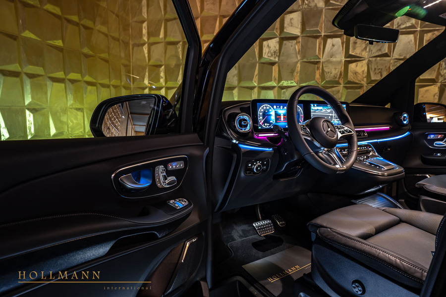 Vehicle view 11