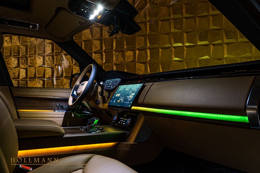 Vehicle view 11
