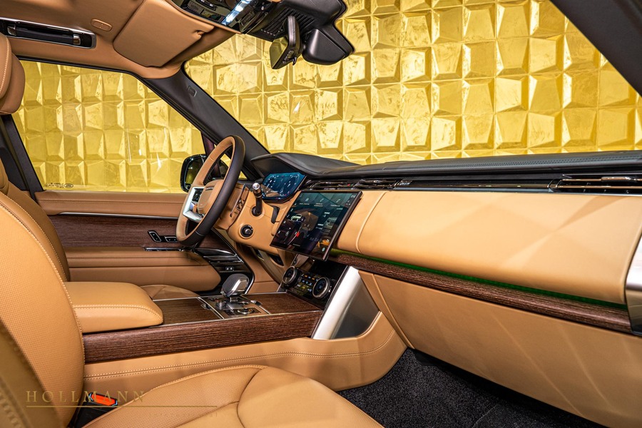 Vehicle view 17