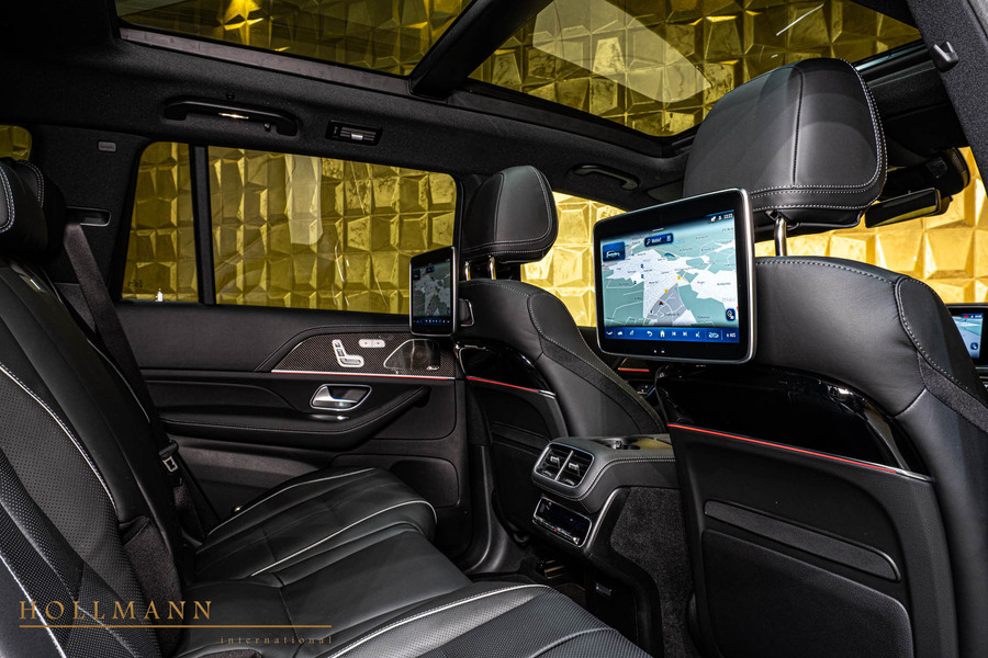 Vehicle view 11