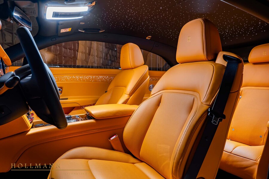 Vehicle view 13