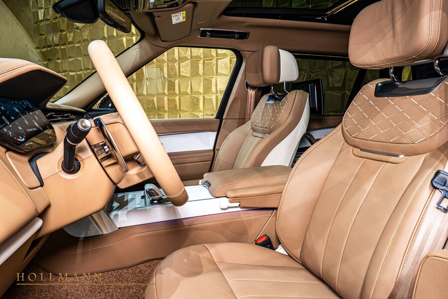 Vehicle view 13