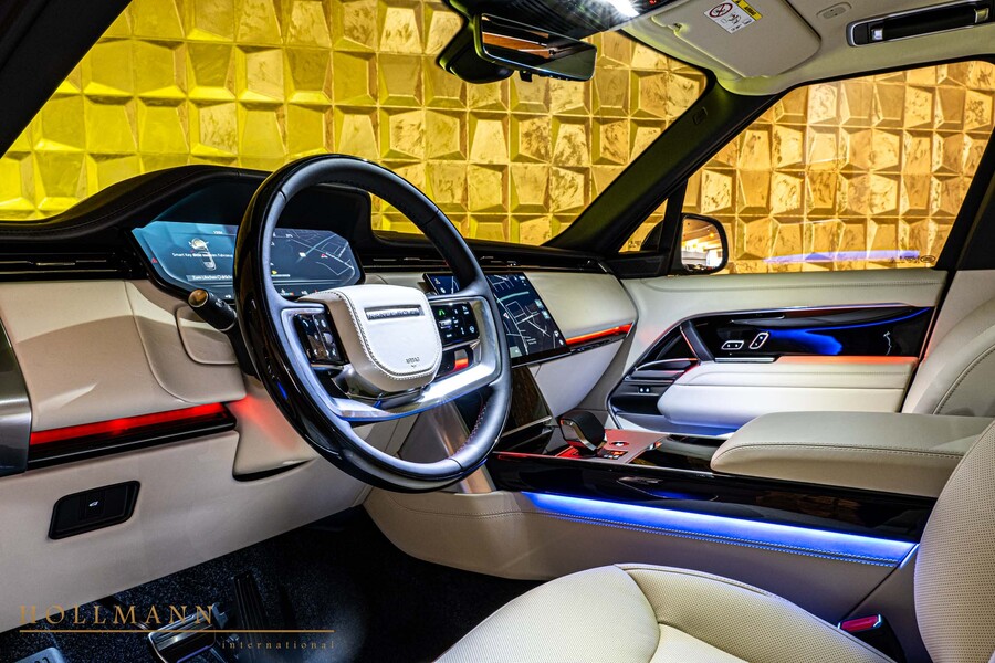 Vehicle view 11