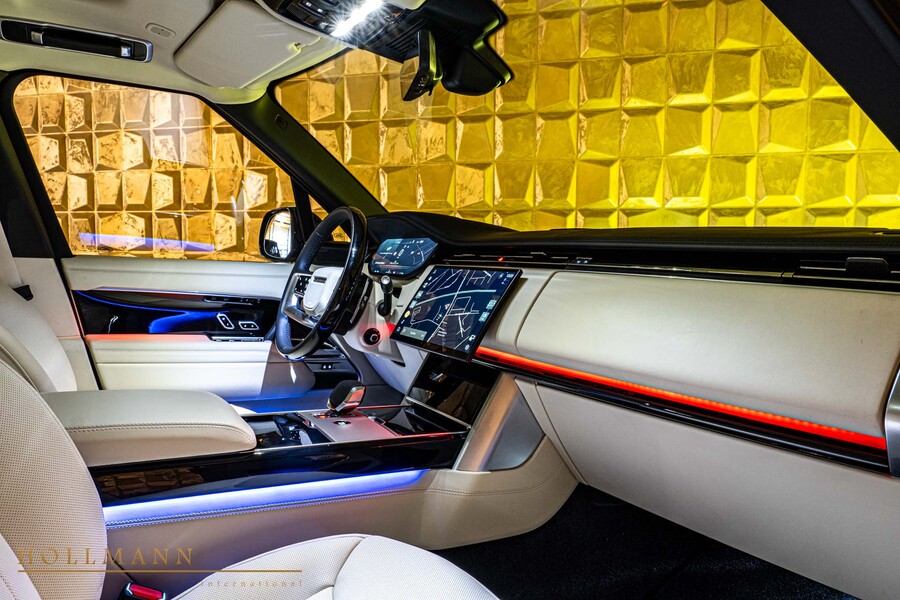 Vehicle view 13