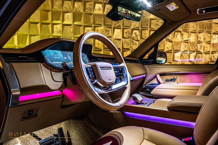 Vehicle view 11