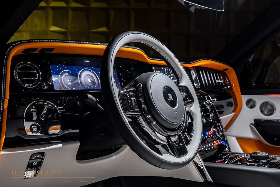 Vehicle view 11