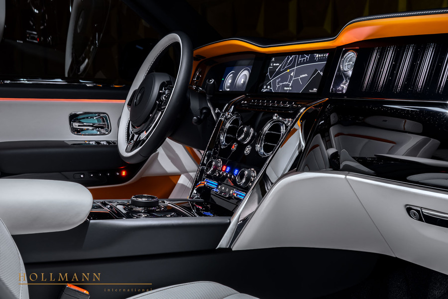 Vehicle view 19