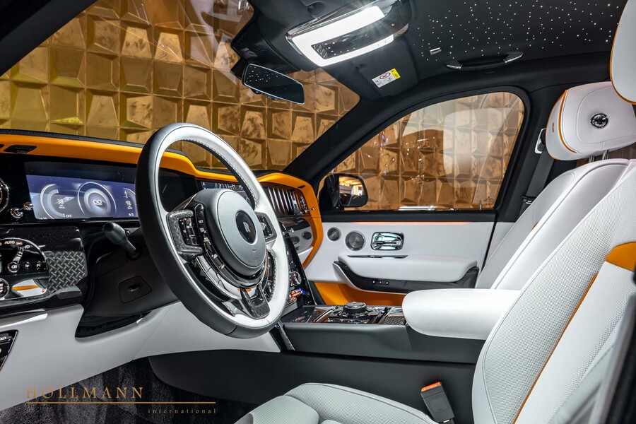 Vehicle view 11