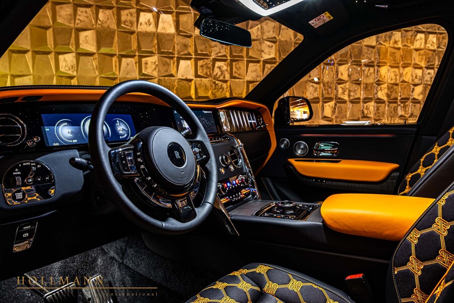 Vehicle view 13