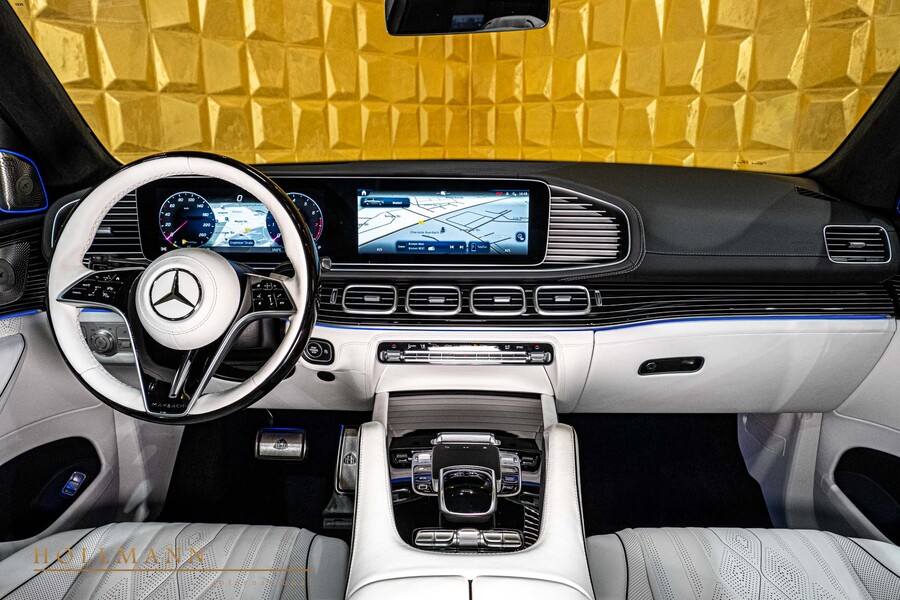 Vehicle view 11