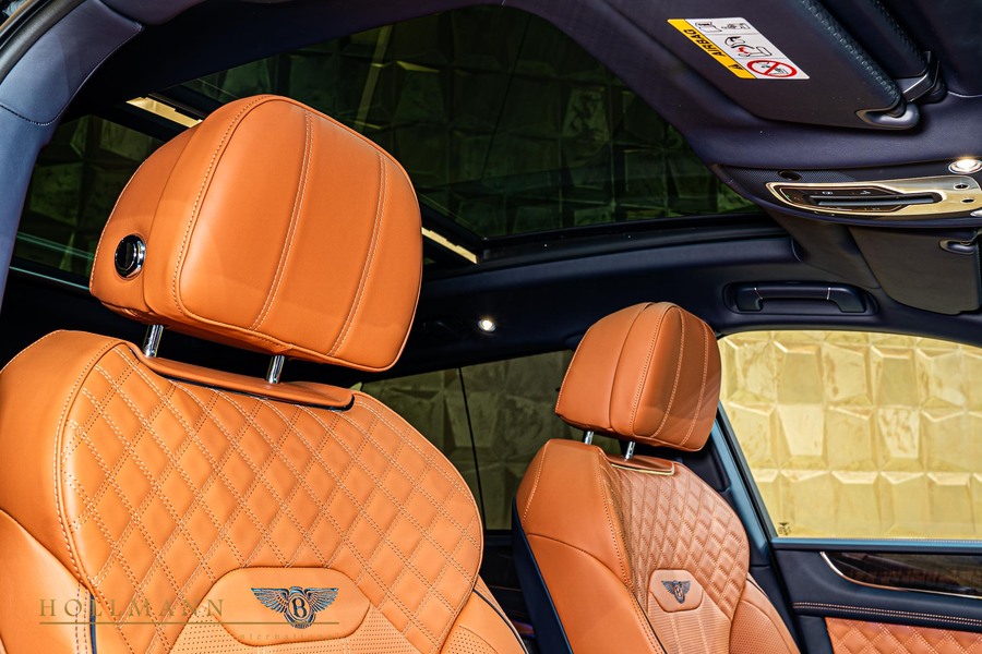 Vehicle view 11
