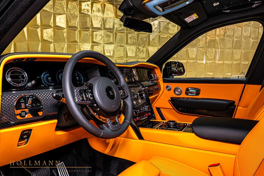 Vehicle view 13