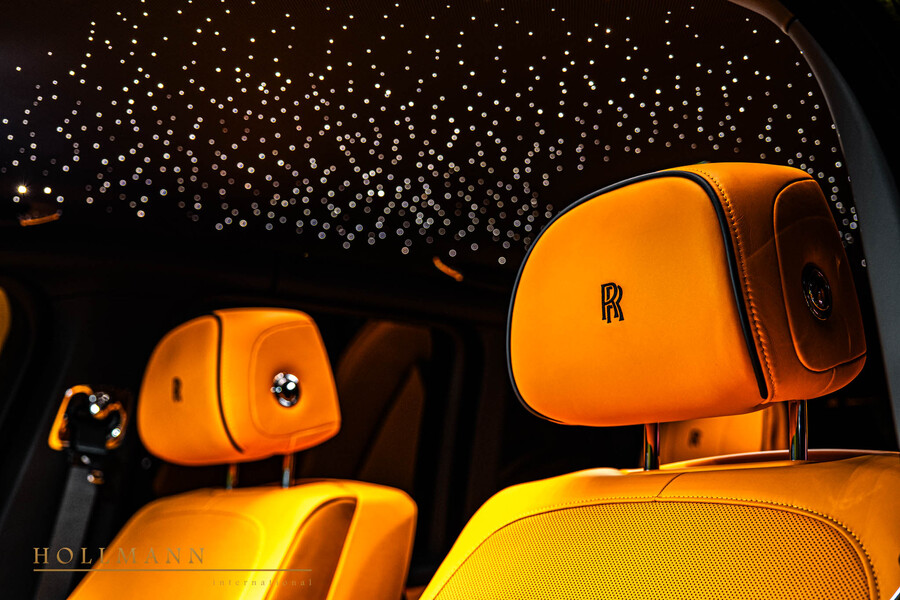 Vehicle view 17