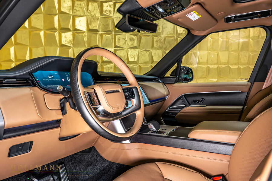 Vehicle view 11