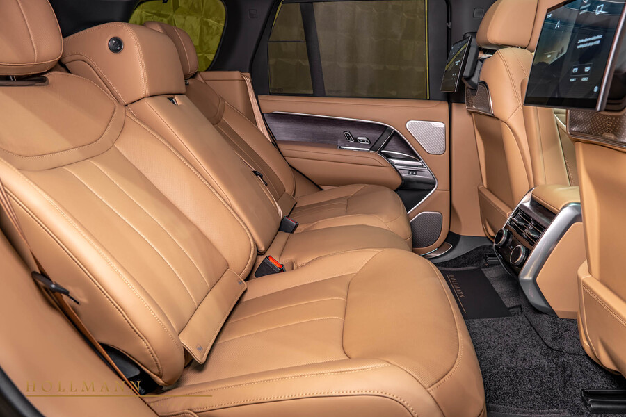 Vehicle view 17