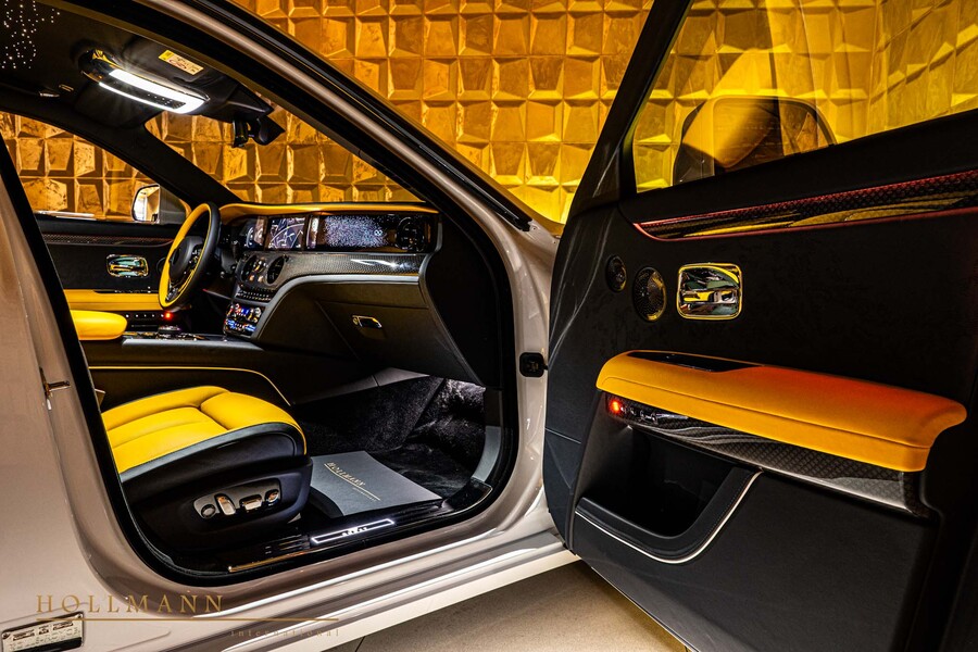 Vehicle view 11