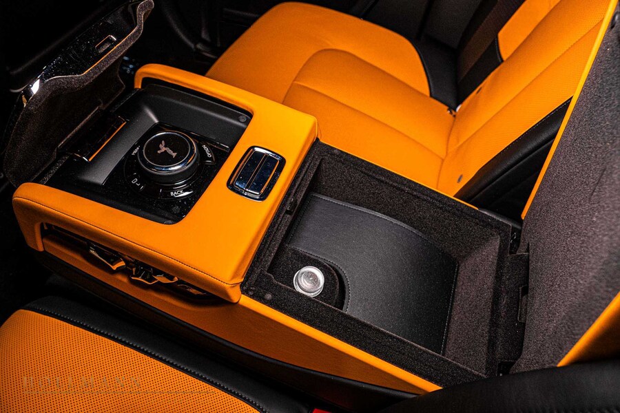 Vehicle view 21