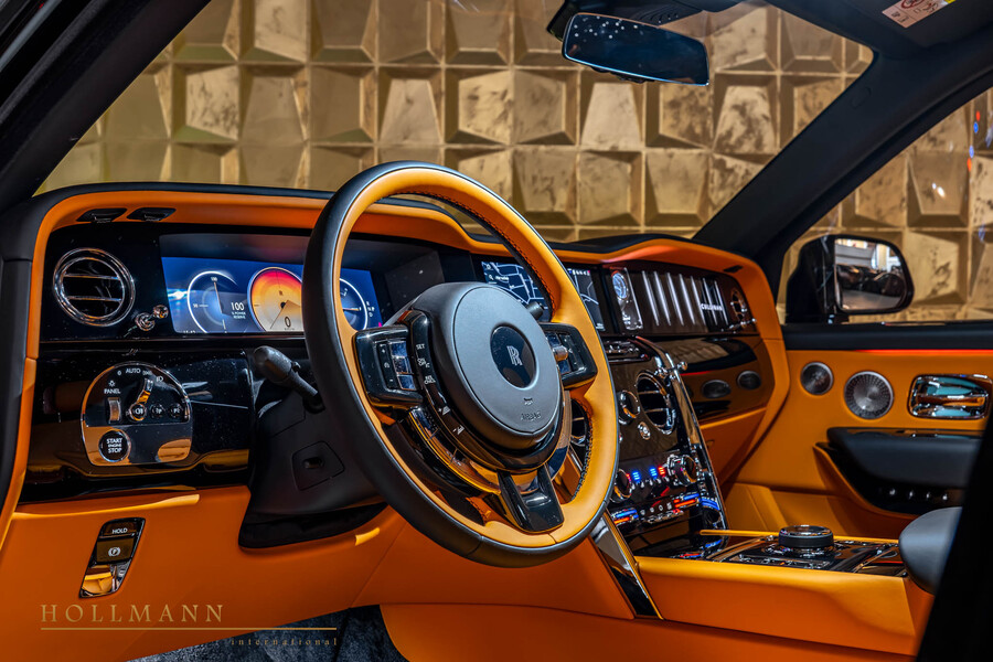 Vehicle view 11