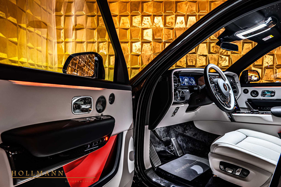 Vehicle view 11